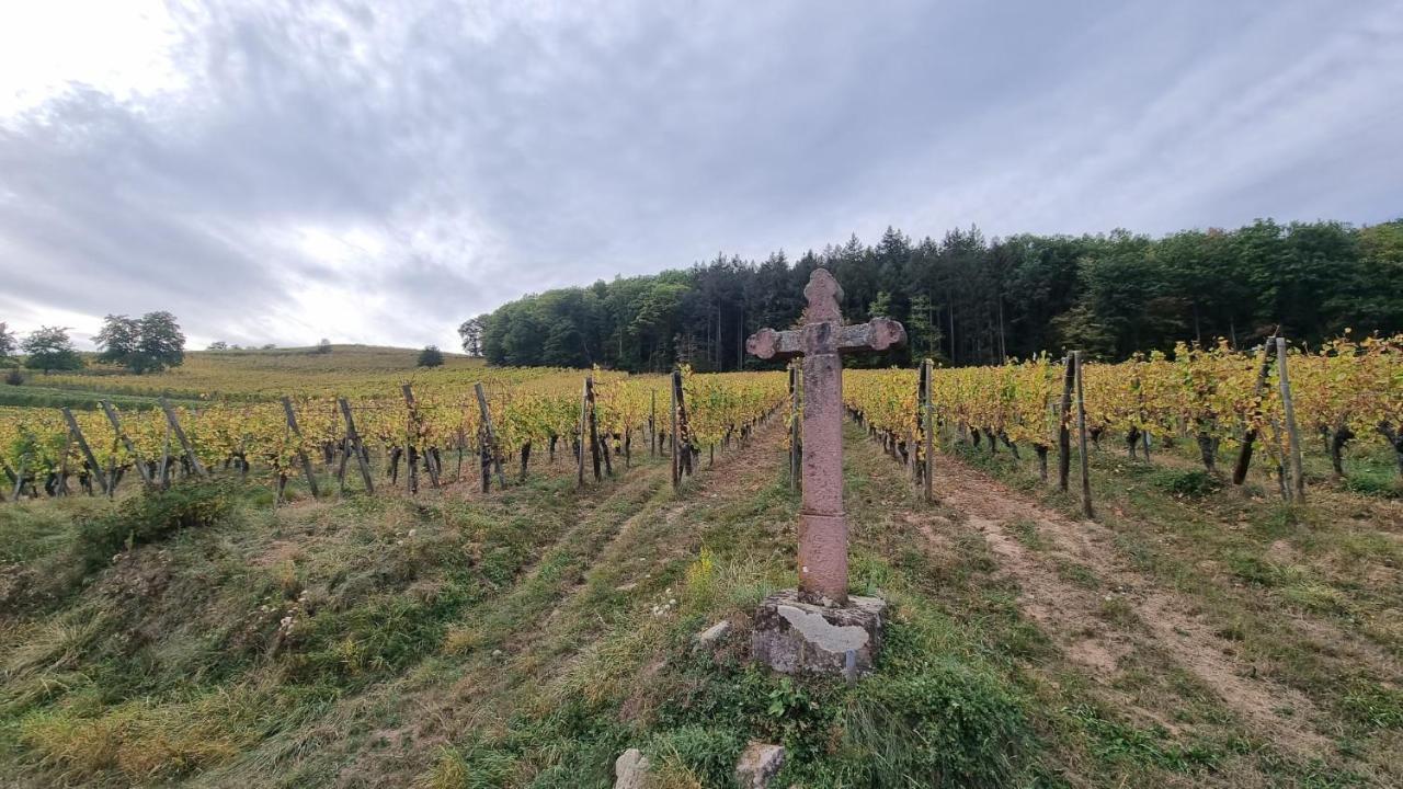 Nid 2 Cigognes Villa Zimmerbach Eksteriør bilde